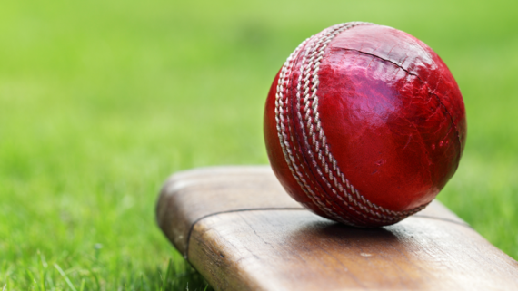 generic photo of a cricket ball resting on the end of a cricket bat