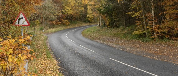 Photograph of a clear, empty road on an autumn day with fallen leaves at the verges