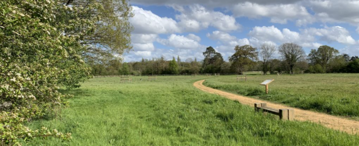 cropped photograph of a natural pathway at Finchwood Park open space on a clear, sunny day