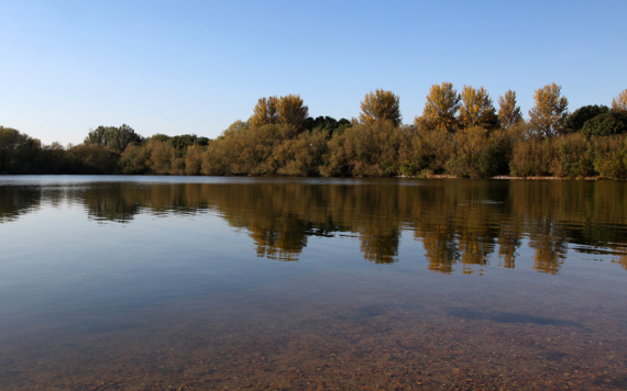 dinton pastures lake