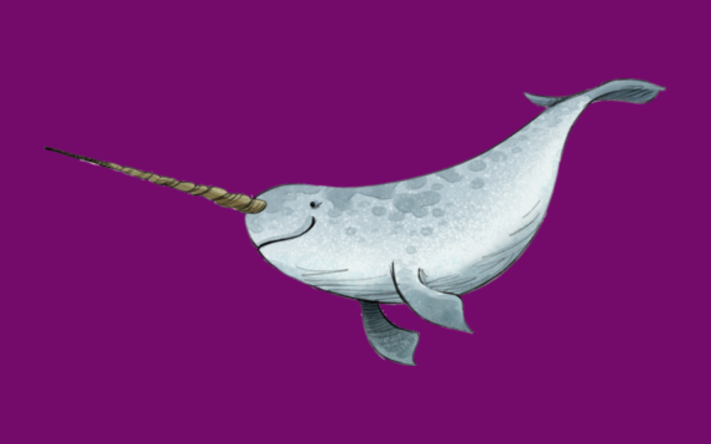 Painting of a narwhal for the Winter Reading Challenge  