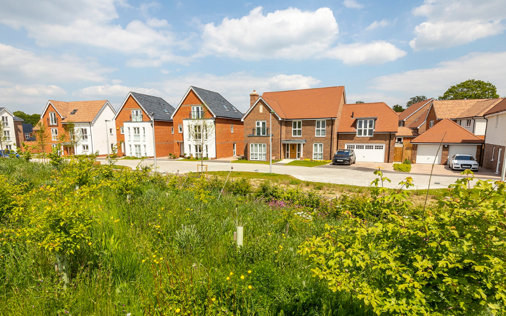 Local Plan Consultation