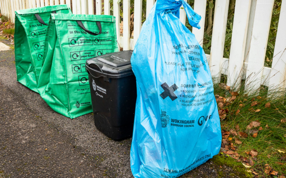 One blue bag, food waste caddy and recycling bag