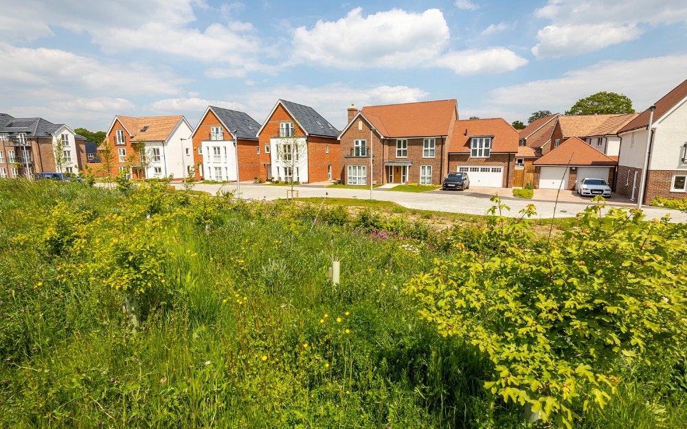 New green space, road and housing side by side on a sunny day