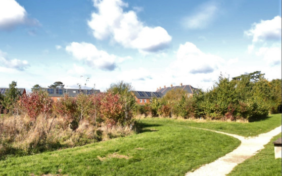 image of path through buckhurst meadow