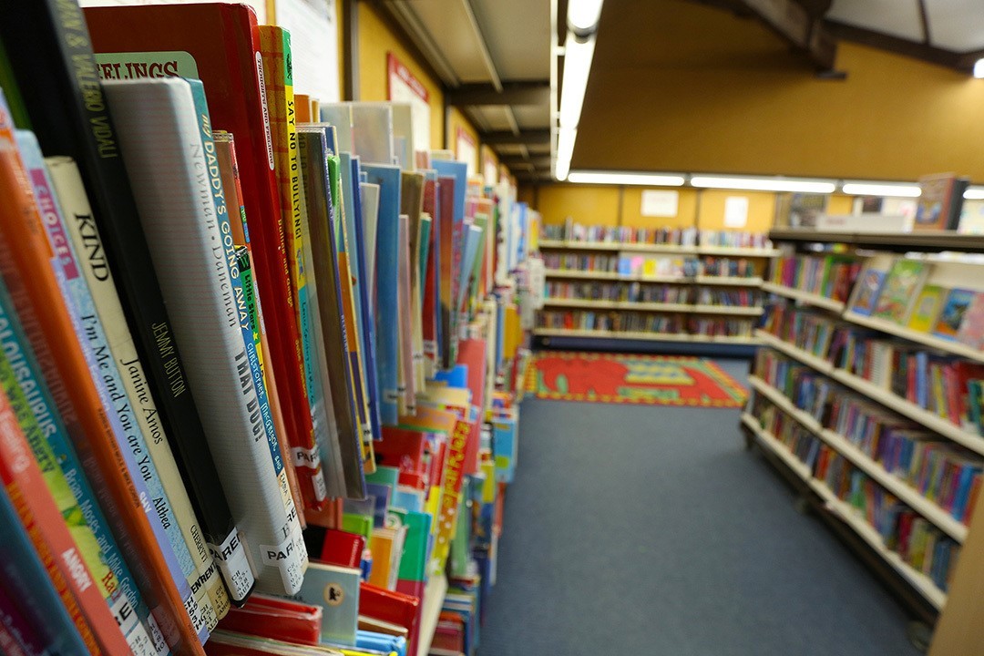 image of full book shelves in a local library 