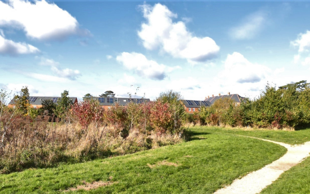 A footpath surrounded by greenery at Buckhurst Meadow in wokingham
