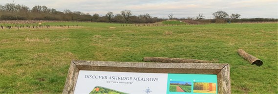 Photograph of Ashridge Meadow nature park in North Wokingham with a map and information sign in the foreground