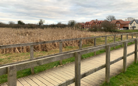 Image taken from the path looking at the bridge and pond at Ashridge Meadow