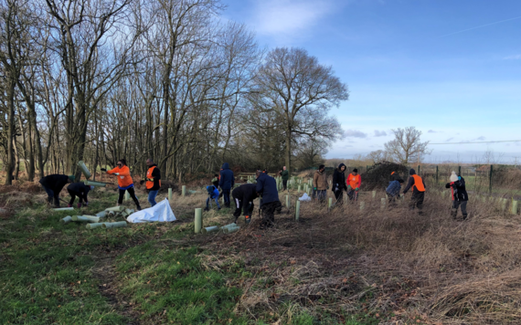 Volunteers planting hazel trees at Keephatch Meadow