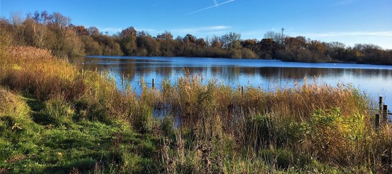 photograph of the lakeside at Charvil Country Park on a clear autumn or winter day