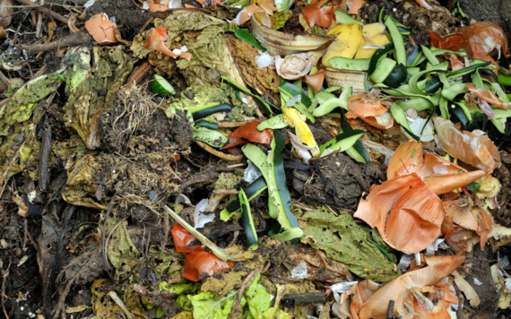 Scrap vegetables and garden waste being composted