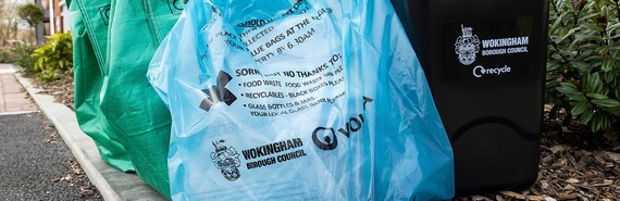 cropped stock image of WBC waste bags lined up for collection on a doorstep