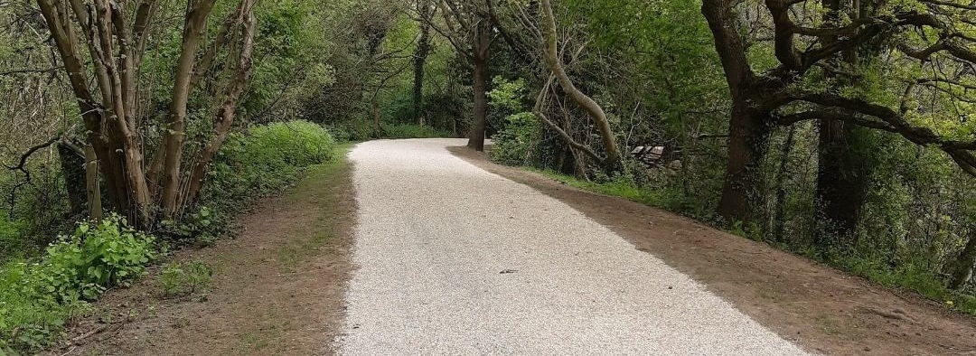 photograph of the new, fully resurfaced path at Dinton Pastures with tall trees on either side