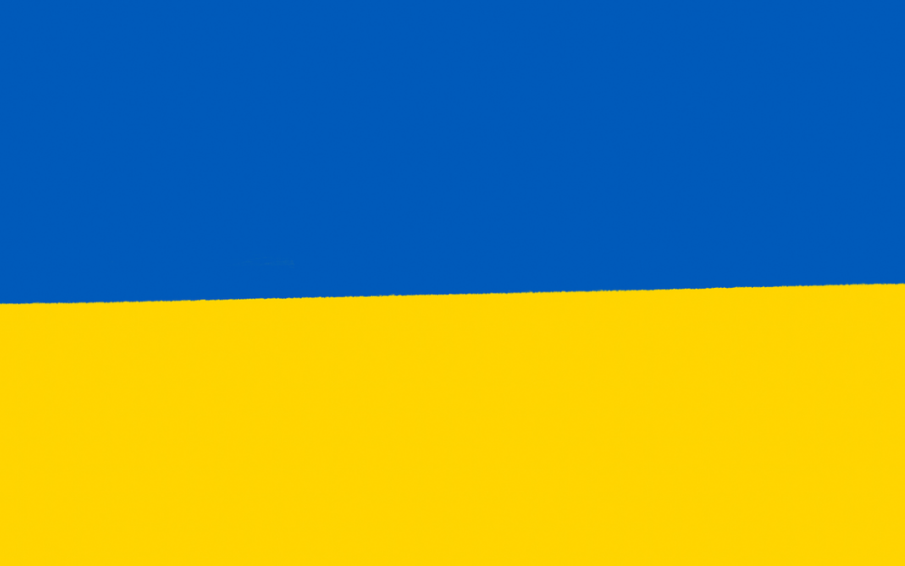 A ukrainian flag