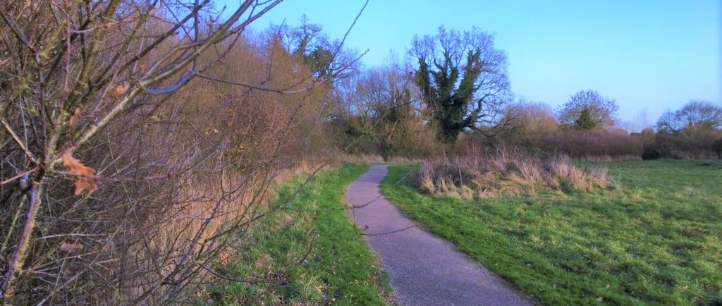 cropped image of the nature park at Old Forest Meadows showing a footpath with bare winter trees and grass to the side