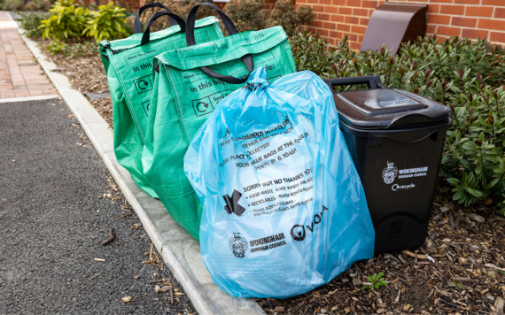 A blue general waste bag, a green recycling waste bag and a food caddy at the kerbside