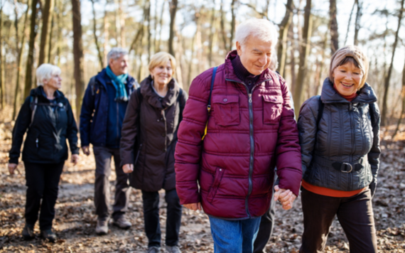 Five elderly people walking in the wood of a country park