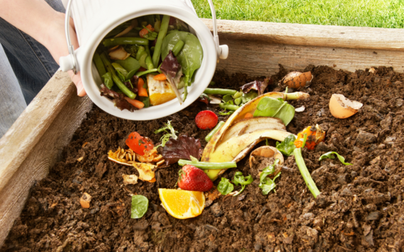 Hands holding a container with vegetable, fruit peelings and leaves being poured into a wooden planter for composting