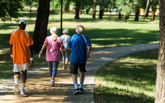 Four adults with differeing ages and ethnicities shot from behind walking through a tree lined area