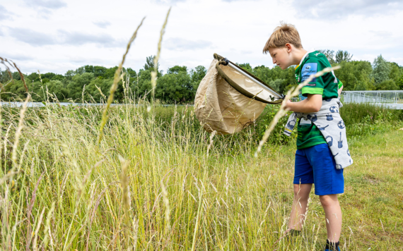 A boy holding a nest and finding insects at the BioBlitz event at Dinton Pastures