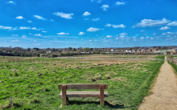 A photo of Mays Farm Meadows in Shinfield