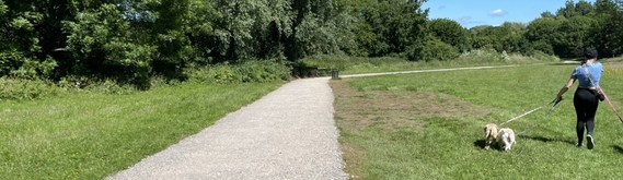 shot of an unfinished greenway with gravel surfacing at Woosehill Meadows, Wokingham