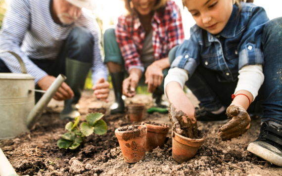 two adults and a child potting plants in a garden 