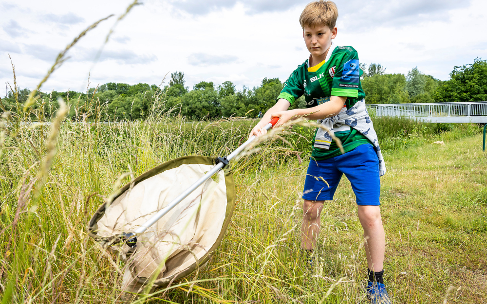 A boy holding a net and finding different species at Dinton Pastures Country Park