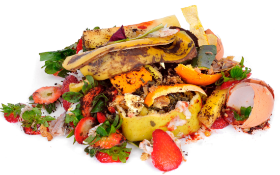 A pile of food scraps such as banana peels and egg shells