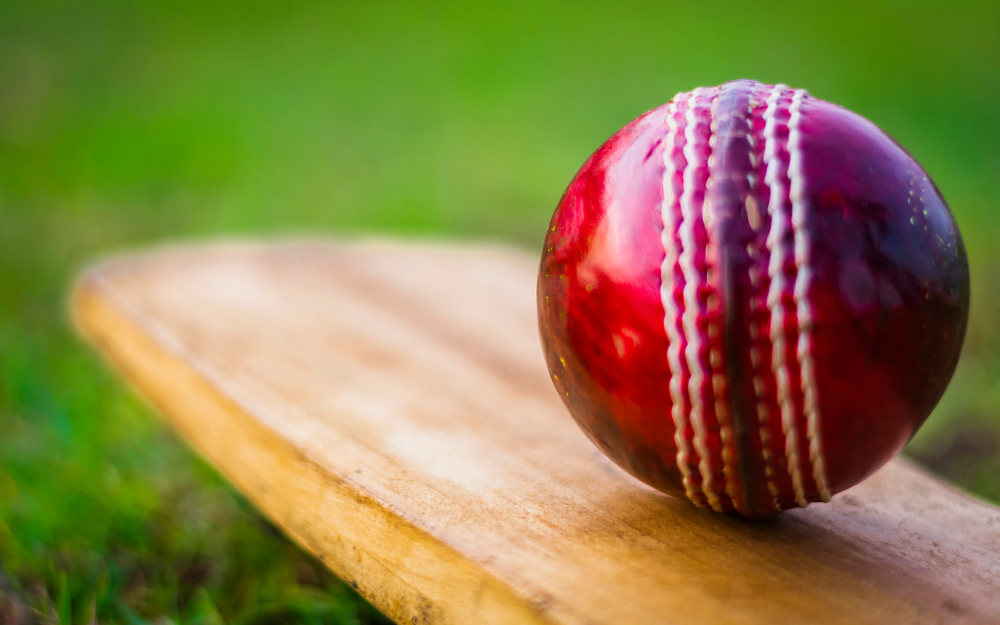 A cricket bat and ball on green grass