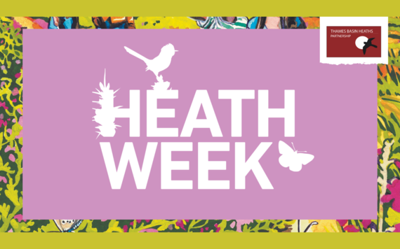 An image of a banner which reads Heath Week and has the logo of Thames Basin Heaths Partnership