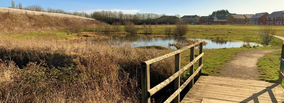 an attractive green space with a pond and new housing visible in background, plus a wooden bridge in foreground