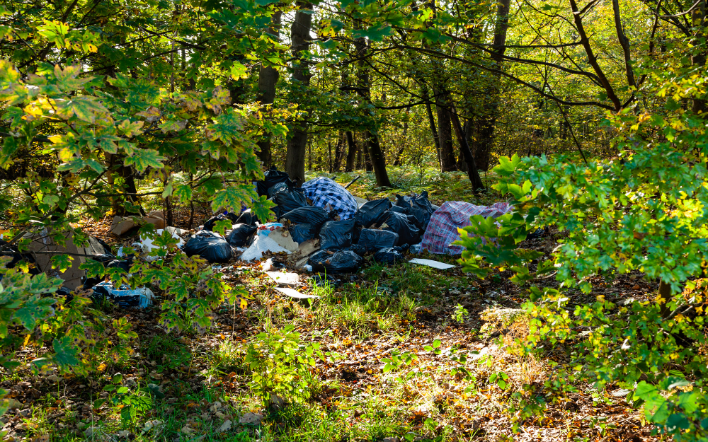 Some black plastic waste bags, nylon bags and waste dumped in the wood 