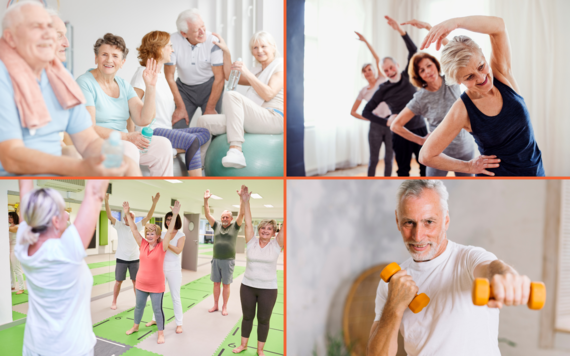 Compilation of photos of SHINE type activities 