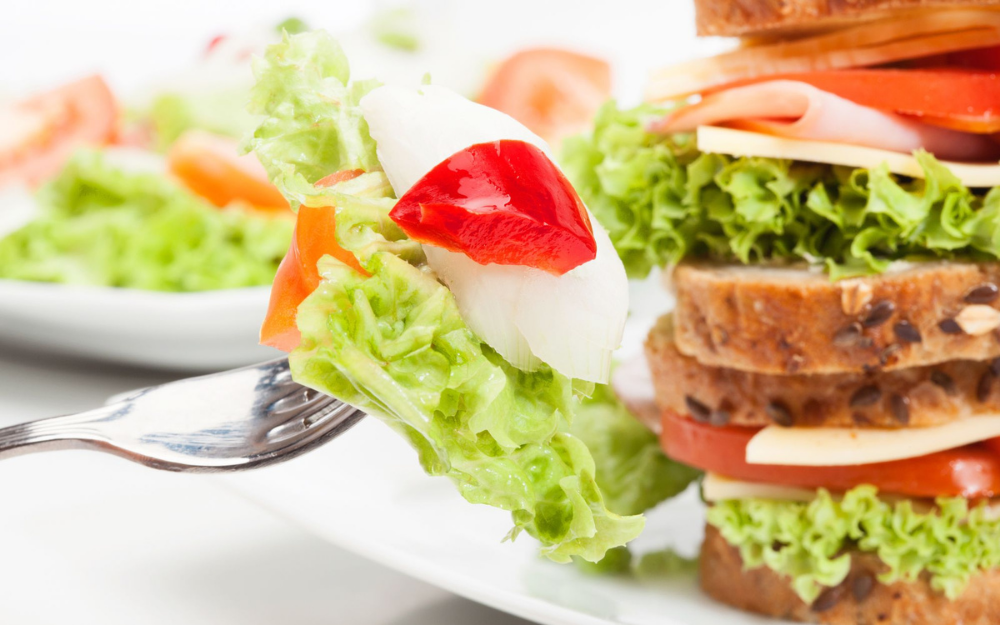 An appetising sandwich and salad on a plate