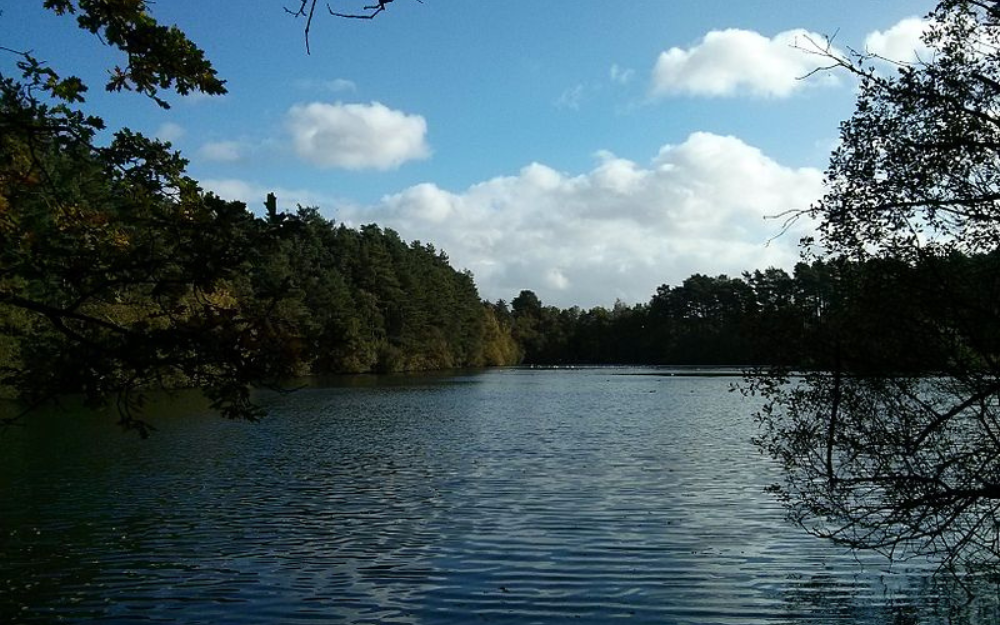 A lake at a country park