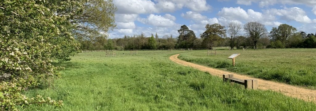 Shot of Finchwood Park showing a footpath with bench and a wide, green open space in foreground