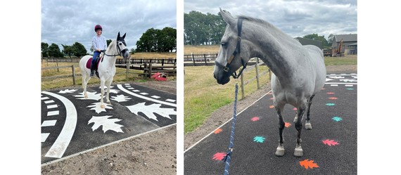 two pictures of horses using a patterned training panel of tarmac