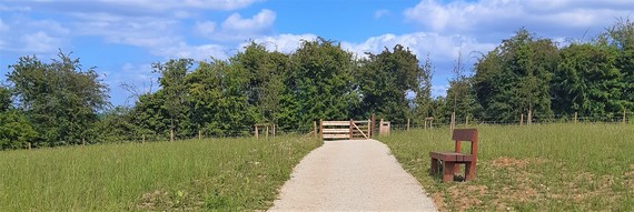 footpath winding through a pretty green field at Parklands nature park, Three Mile Cross, with a bench in background