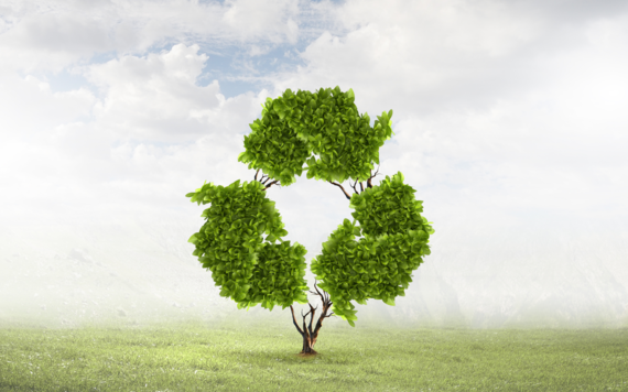 A tree stood in a field. The branches and leaves make the shape of the recycling symbol of three arrows in a triangle