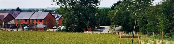 general shot of some houses with a green field in foreground