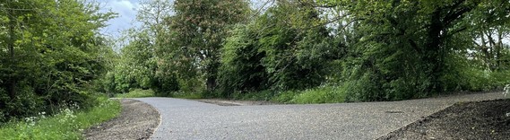 image of a foot and cycle path running through a pretty wooded area