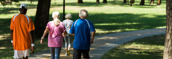 A group of older adults viewed from behind walking down a footpath in a wooded area