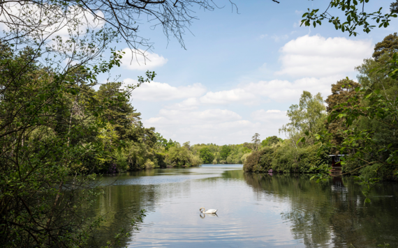 A view of a river 