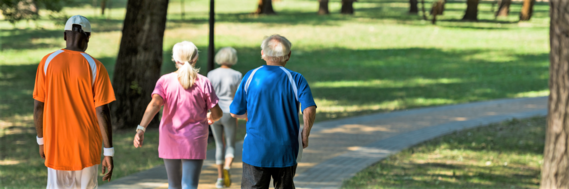 shot from behind of three older adults walking along a path through a wooded area