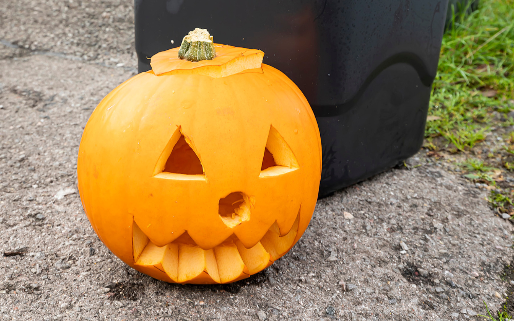 A carved pumpkin at the kerbside next to the food recycling bin