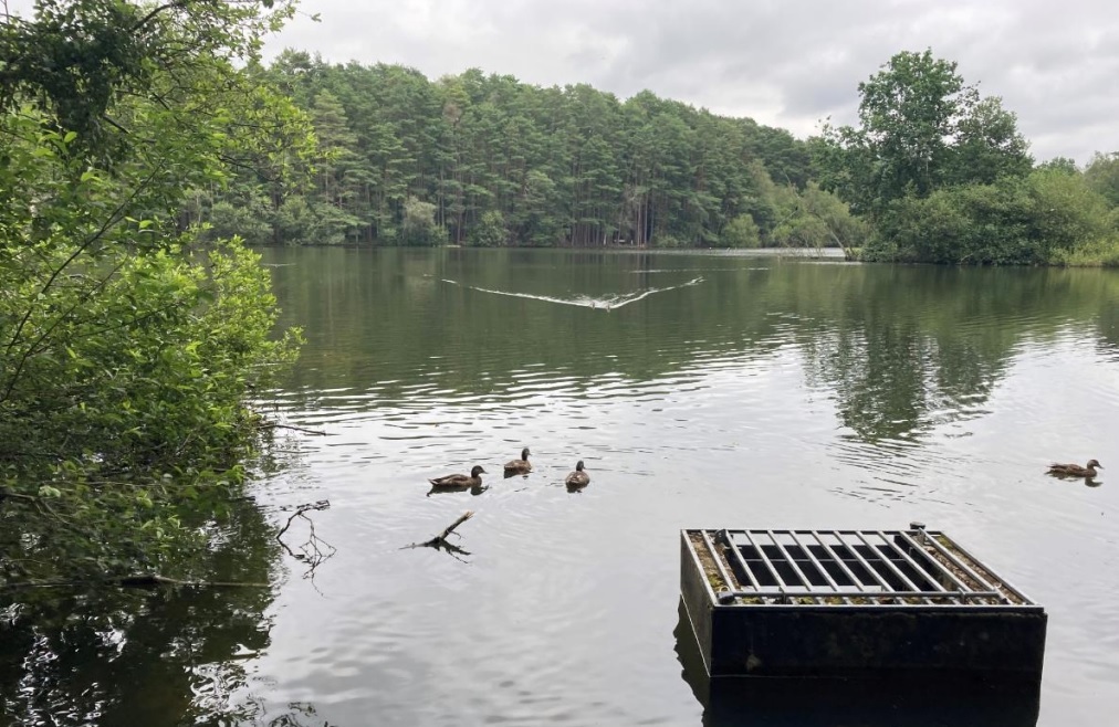 A photo of Heath Lake