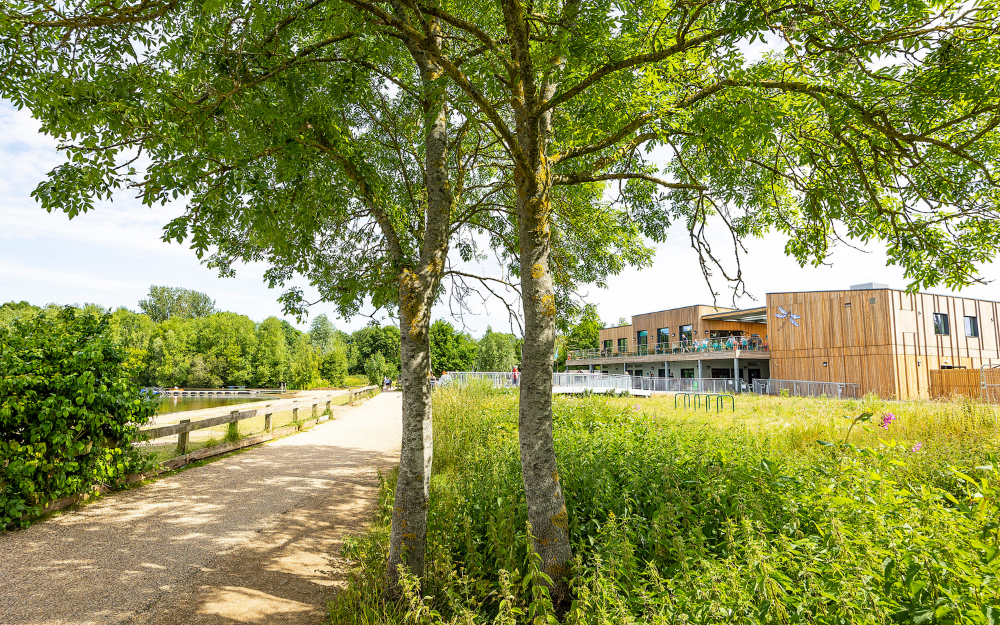 Two trees standing tall outside Dinton Activity Centre in Hurst