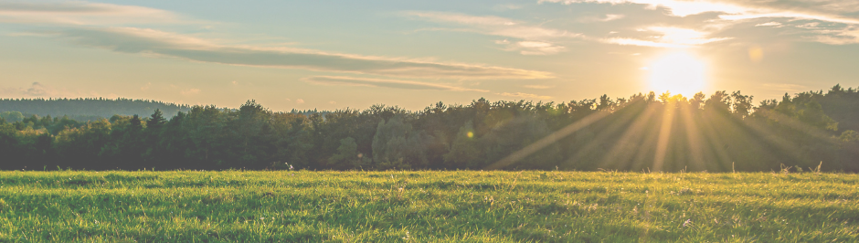 stock photo of the sun setting over a field